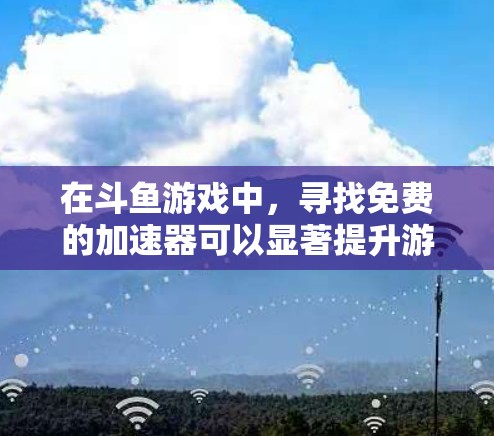 在斗鱼游戏中，寻找免费的加速器可以显著提升游戏性能，但需要注意以下几点