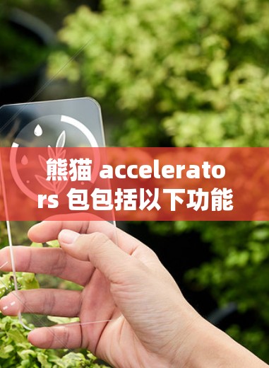 熊猫 accelerators 包包括以下功能