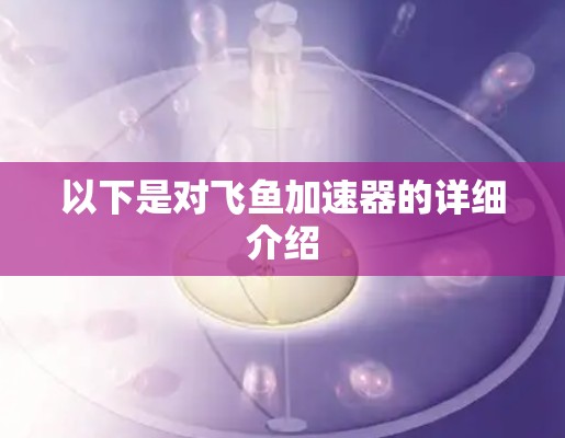 以下是对飞鱼加速器的详细介绍