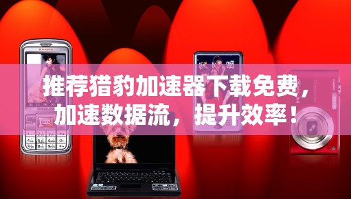 推荐猎豹加速器下载免费，加速数据流，提升效率！