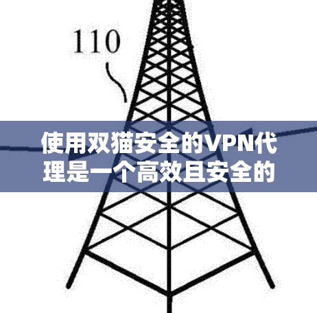使用双猫安全的VPN代理是一个高效且安全的选择。以下是详细的步骤和建议