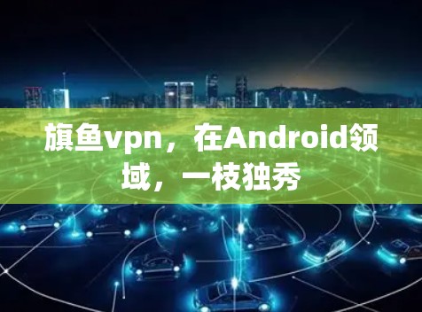 旗鱼vpn，在Android领域，一枝独秀