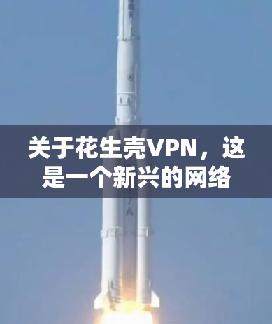 关于花生壳VPN，这是一个新兴的网络服务域名，如果你正在寻找VPN服务，可以提供以下信息以便更好地了解