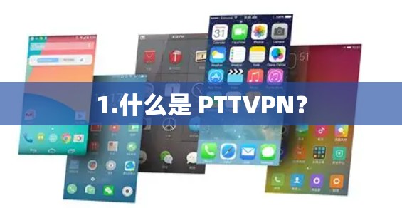 1.什么是 PTTVPN？